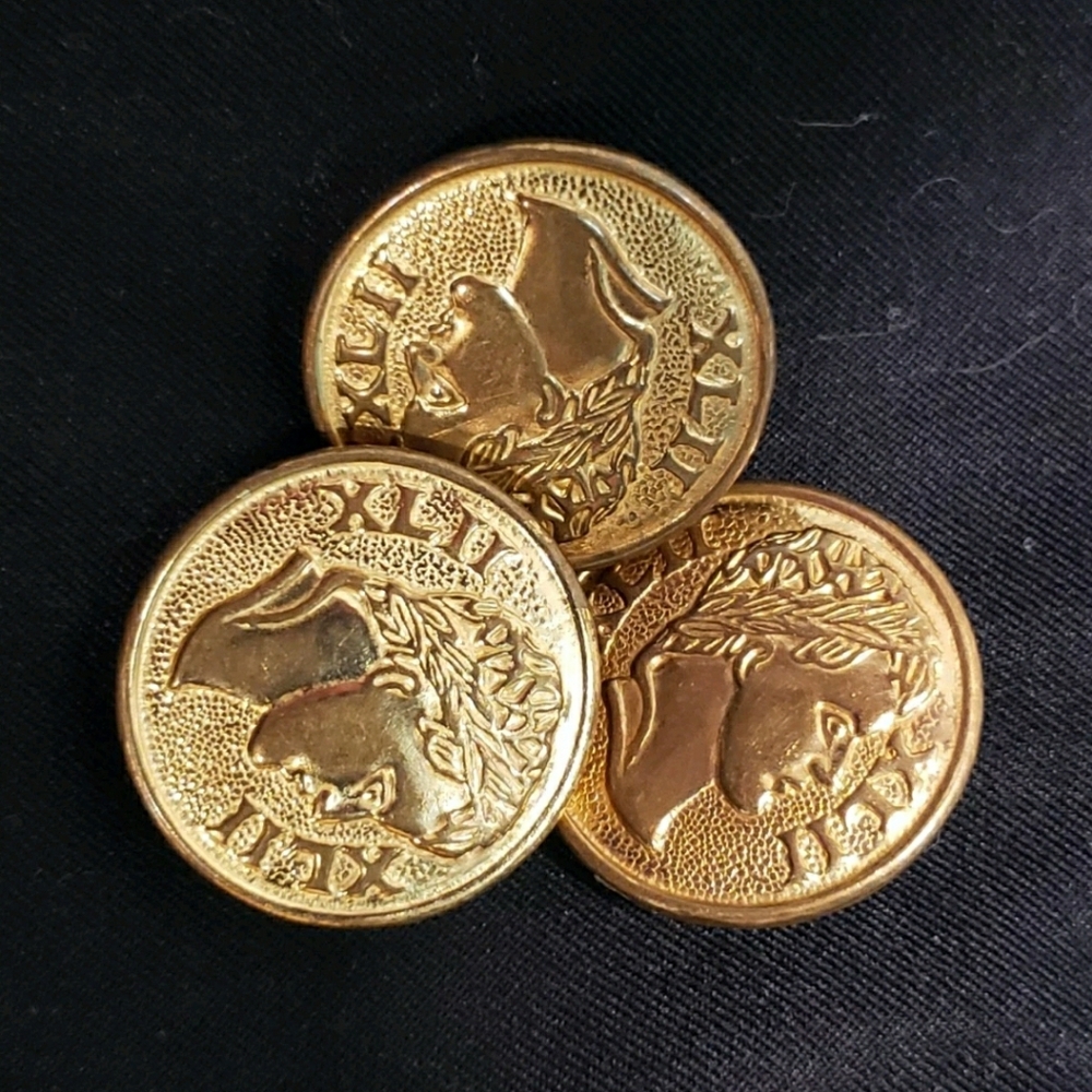 Reclaimed Vintage Rare Rome XLII Large Buttons